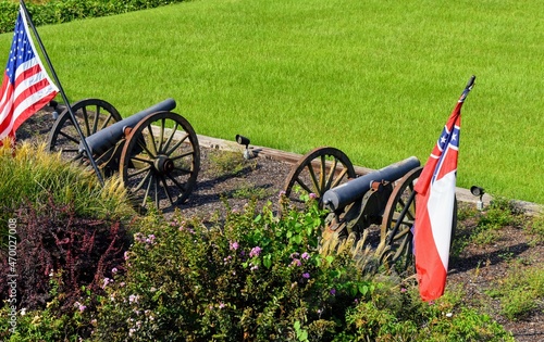 Slika na platnu Civil war guns at Vicksburg