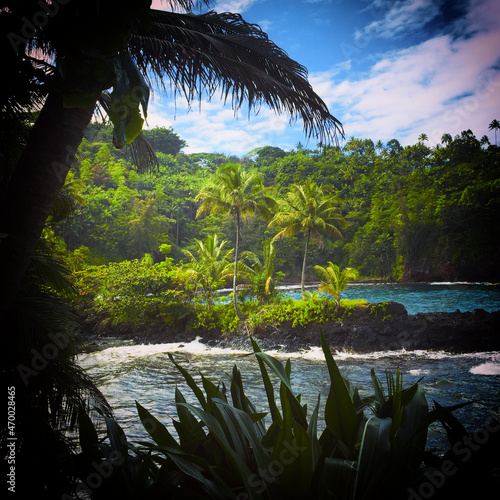 Tropical paradise coastline on the shores of the Big Island