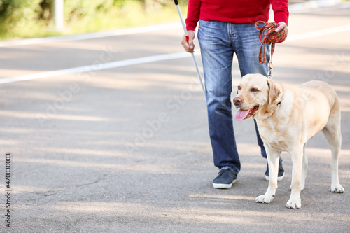 Blind senior man with guide dog walking outdoors