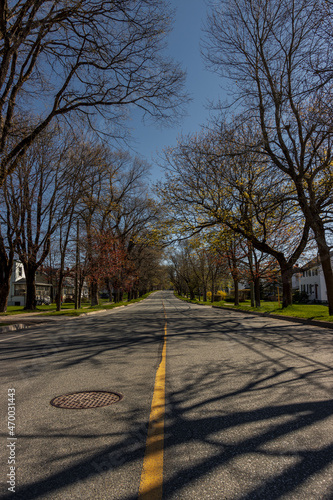 autumn fall trees on main street west saint john new brunswick canada