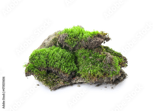 Green moss with ground isolated on white background