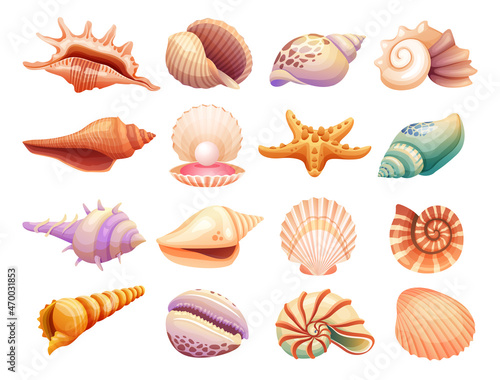 Collection of seashells illustration isolated on white background