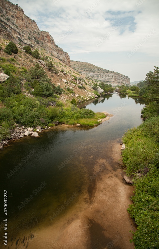 Obraz premium Trout in Popo Agie River at The Rise in Sinks Canyon State Park, Wyoming