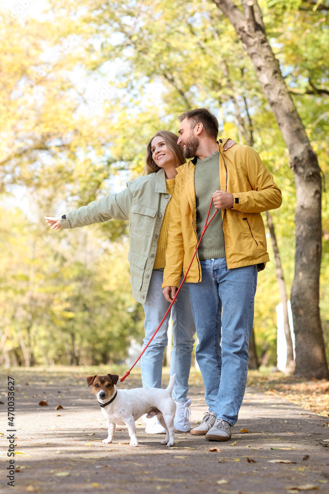 Fototapeta premium Lovely couple with Jack Russel terrier walking in park on autumn day