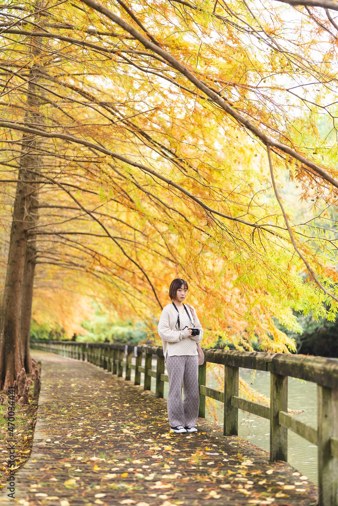 紅葉の公園でカメラを持って写真を撮る女性 紅葉の公園でカメラを持って写真を撮る女性