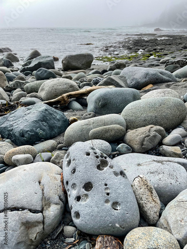 Rocks and tidal pools in different formations reveal histories and stories of marine life at Botanical beach in Vancouver Island