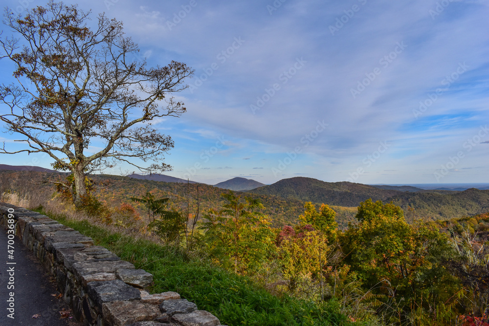 Mountain Scenery With Beautiful Fall Trees in the Foreground and a Bright Blue Sky in the Background Mountain Scenery With Beautiful Fall Trees in the Foreground and a Bright Blue Sky in the Background