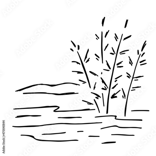 Fototapeta Naklejka Na Ścianę i Meble -  Doodle swamp. Sketch of natural pond or lake with reeds and sedge. Line design