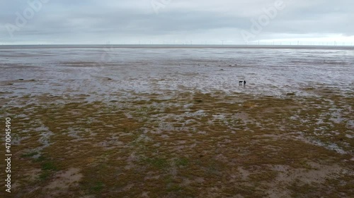 A lady walking her dog very far away, with a drone over the top of her. photo