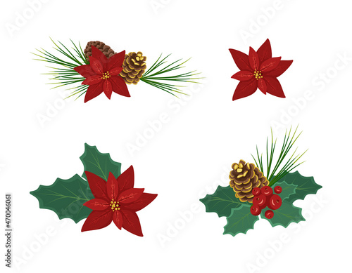 Set of Christmas floristic compositions, winter festive decorations for New Year and gift. Christmas red poinsettia flower with pine needles, holly leaves and golden cone