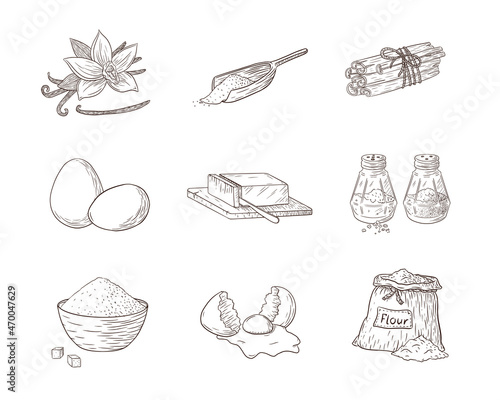Cooking Ingredients Engraved Illustrations Set. Collection of hand drawn food sketches for recipe, logo, recipe, print, sticker, menu design and decoration