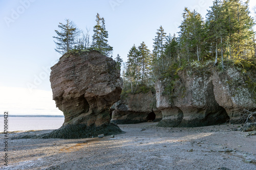 Flower Pots Carved from Fundy’s sandstone sea cliffs over the course of years and years, the Flower Pot Rocks – otherwise referred to as sea stacks – showcase the vertical variance of the Bay’s great 