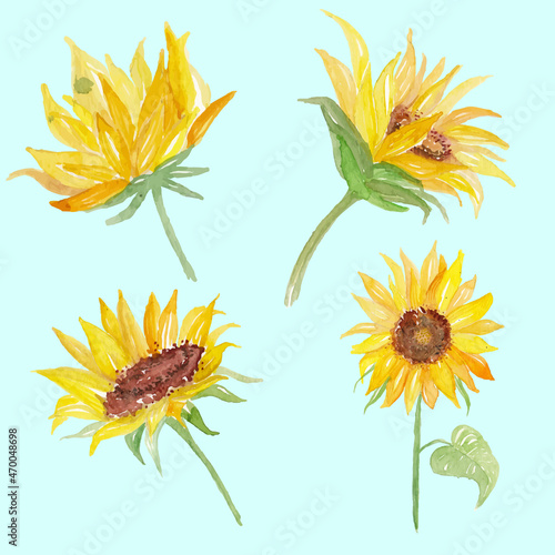 Sunflower watercolor flower background