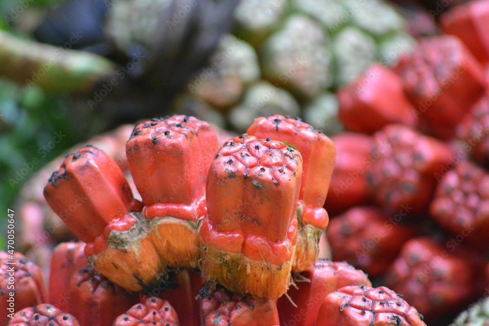 Pandanus tectorius is a species of Pandanus, screwpine that is native