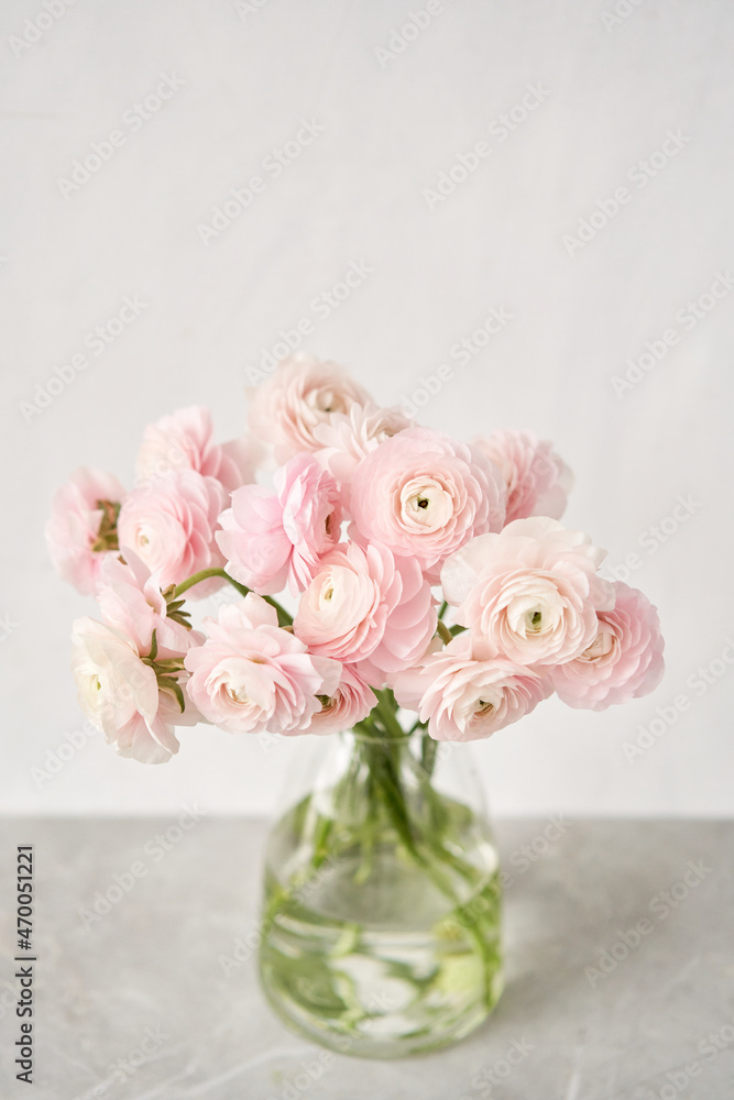 Persian buttercup. Bunch pale pink ranunculus flowers light background. Wallpaper, Horizontal photo Persian buttercup. Bunch pale pink ranunculus flowers light background. Wallpaper, Horizontal photo