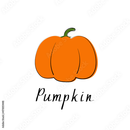 Pumpkin colorful icon. Isolated object. Organic vegetable food. Vector illustration