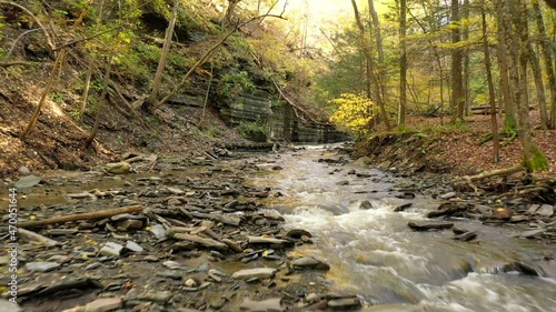 Gorge stream with Rock Formations in Conklin's Gully New York photo