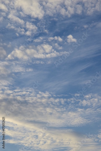 Wei  e Sch  fchenwolken am Abendhimmel  faszinierende Wolken vor blauen Himmel