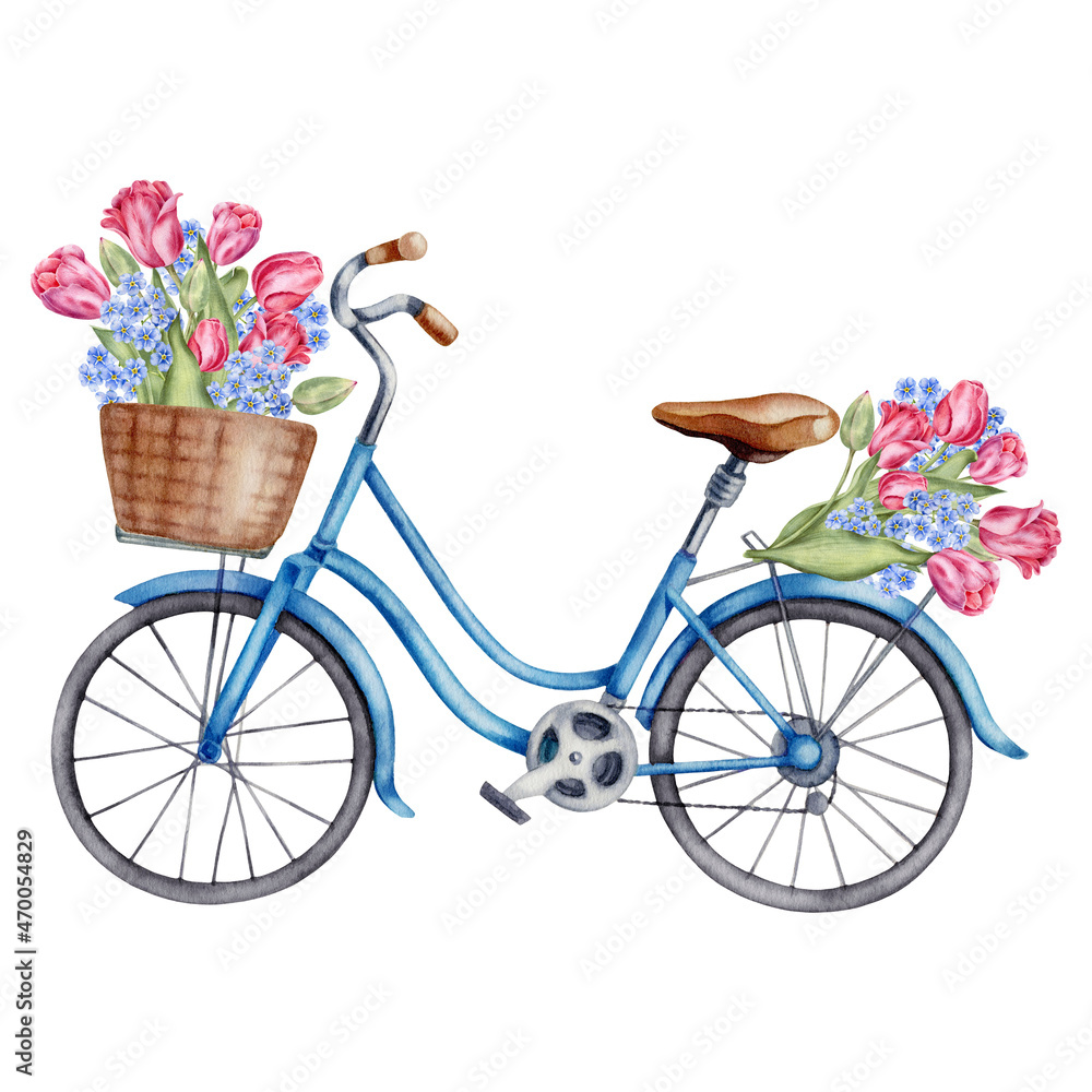 Watercolor illustration with blue bicycle and tulips bouquet isolated on the white background. Hand painted watercolor clipart.