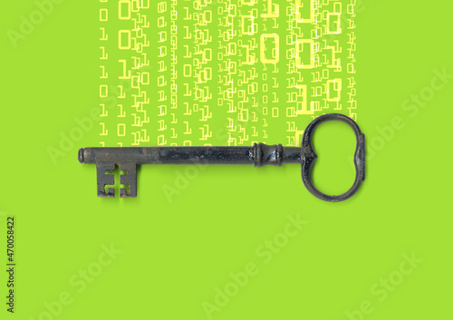 secure internet computer key icon with a circuit board illustration  © kaptn
