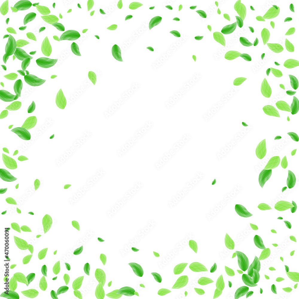 Green Sheet Background White Vector. Leaf Vibrant Design. Environment Illustration. Light Green Flavor Frame. Plant Fresh.