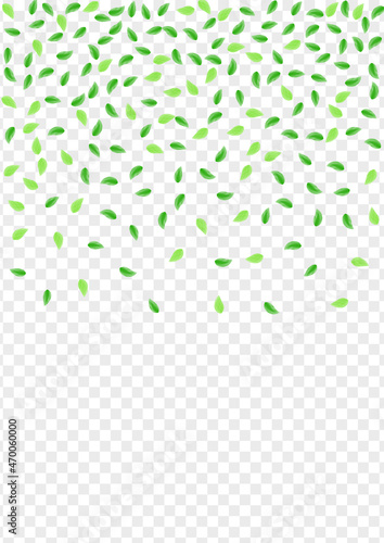 Greenish Sheet Background Transparent Vector. Greenery Organic Illustration. Element Frame. Light Green Agriculture Design. Vegetation Space.