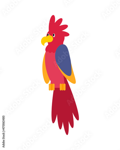 Parrot isolated cartoon. Talking bird for pirate. vector illustration