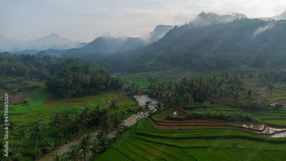 Green Terraced Rice Field in bruno , purworejo, central java, indonesia