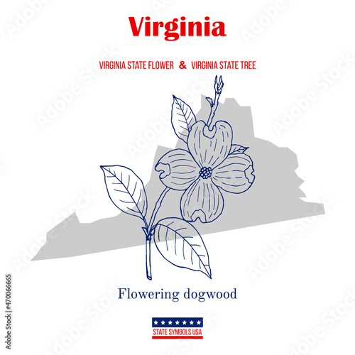 Virginia. Set of USA official state symbols
