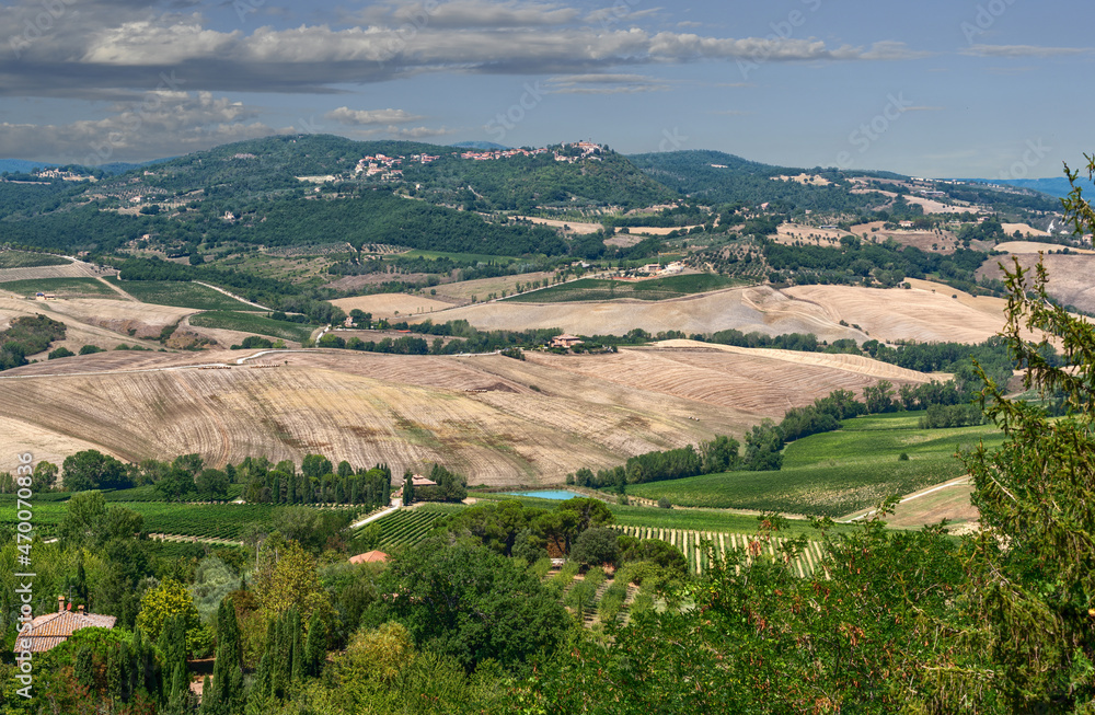 Montepulciano, Tuscany, Italy. August 2020. Amazing landscape of the Tuscan countryside. At the top of the hill the village. Beautiful summer day