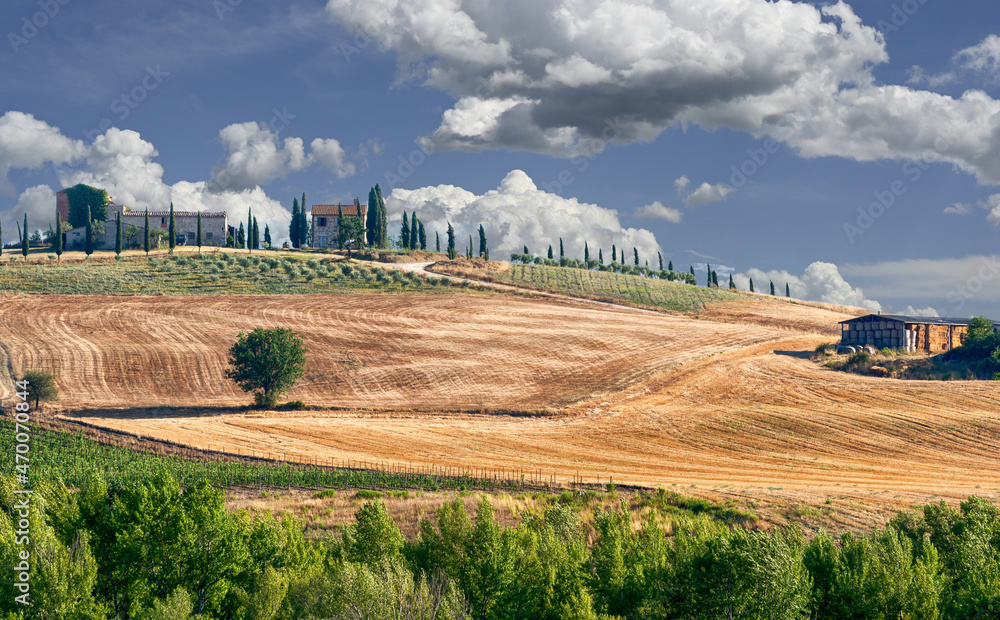 Fototapeta premium Val d'Orcia, Tuscany, Italy. August 2020. A stunning iconic image of the region: a farm on top of a hill with the access road lined with cypresses. Beautiful summer day.