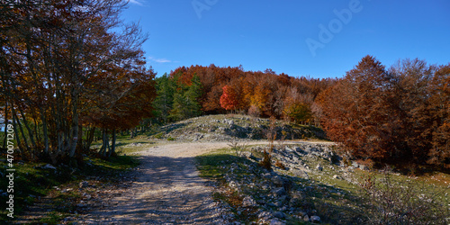 Walking path in the autumn at Monte Livata, Monti Simbruini Natural Regional Park	