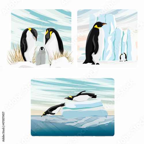 A set of vector compositions with realistic Emperor Penguins in the North. Penguins and their chicks stand near ice floes and glaciers, dive into the ocean from an ice floe. Realistic landscapes