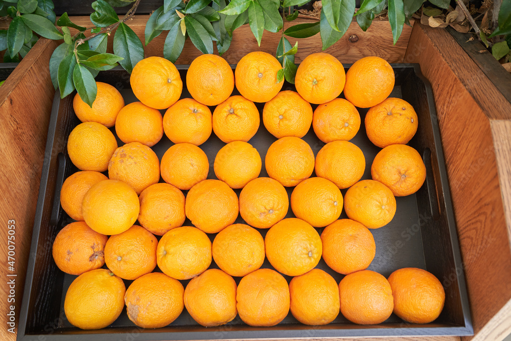 Fresh oranges in a black box are sold in the store