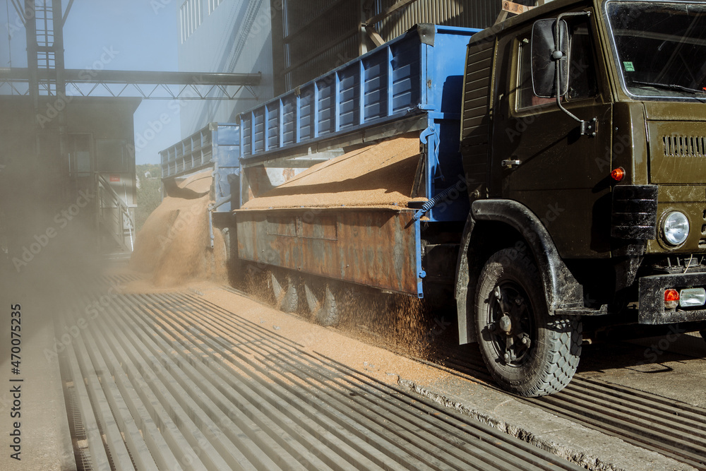 Unloading grain from an autotruck to an undeground storage Unloading grain from an autotruck to an undeground storage