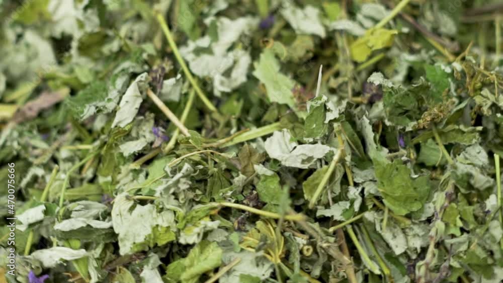 Dried Medicinal Herbs, Green Herbal Tea, Natural Medicinal Herbal Tea, Macro, Rotation. Background of Medicinal Herbs, Folk Medicine. Dried Medicinal Herbs, Green Herbal Tea, Natural Medicinal Herbal Tea, Macro, Rotation. Background of Medicinal Herbs, Folk Medicine.