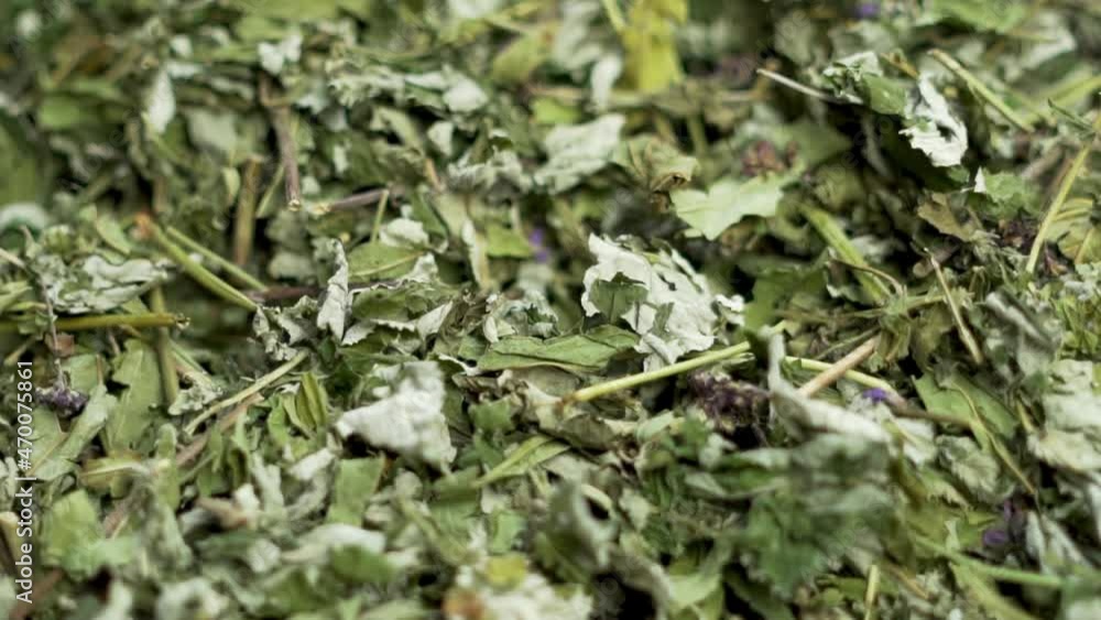 Green Herbal Natural Tea from Medicinal Herbs, Useful Herbs, Macro, Rotation. Green Tea for Weight Loss, to Increase Immunity, Antiviral Green Tea, Herbs, Detoxification, Weight Loss. Green Herbal Natural Tea from Medicinal Herbs, Useful Herbs, Macro, Rotation. Green Tea for Weight Loss, to Increase Immunity, Antiviral Green Tea, Herbs, Detoxification, Weight Loss.