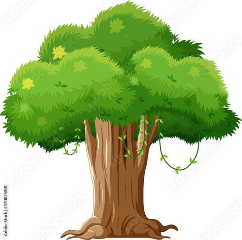 Isolated tree on white background