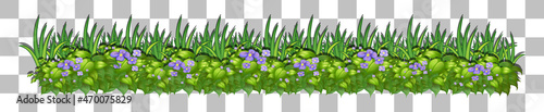 Grass and plants on transparent background for decor