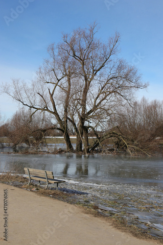 bis zur sitzbank zugefrorene rheinwiese photo