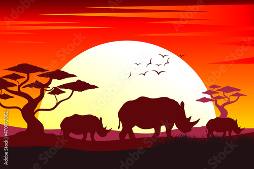 Rhinoceros silhouette. Silhouette of sunset in safari landscape © Edy