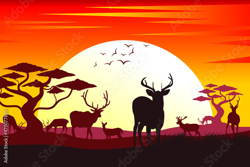 Deer silhouette. Silhouette of sunset in safari landscape