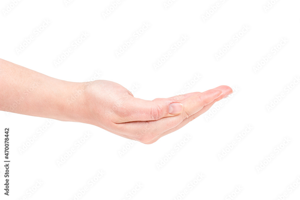 Caucasian woman hands holding something isolated on white background. Caucasian woman hands holding something isolated on white background.