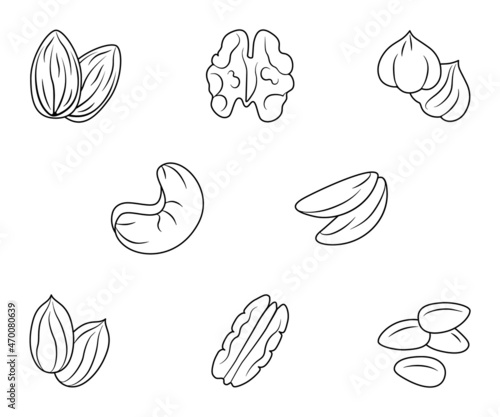 Nuts are different types of a set of contour icons. Vector linear illustration isolated on a white background for website design of products, applications, printing