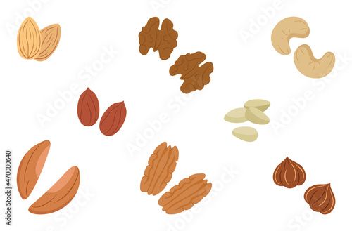 Nuts are different types of set in a simple style. Vector illustration isolated on white background for website design of products, applications, printing