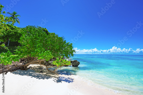 paradise tropical beach Dominican Caribbean