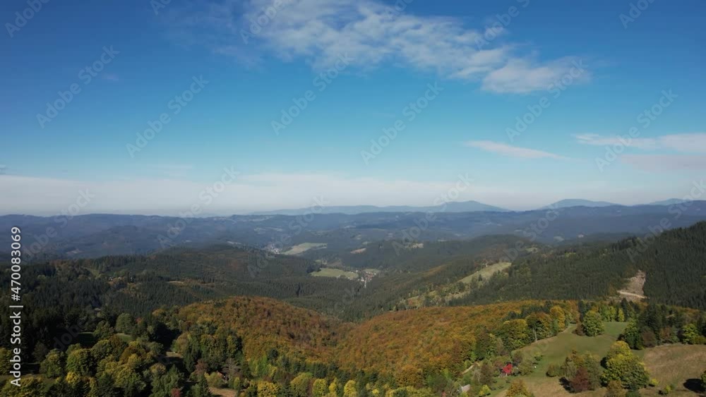 Early autumn in forest aerial top view. Mixed forest, green conifers, deciduous trees with yellow leaves. Fall colors woodland. Early autumn in forest aerial top view. Mixed forest, green conifers, deciduous trees with yellow leaves. Fall colors woodland.