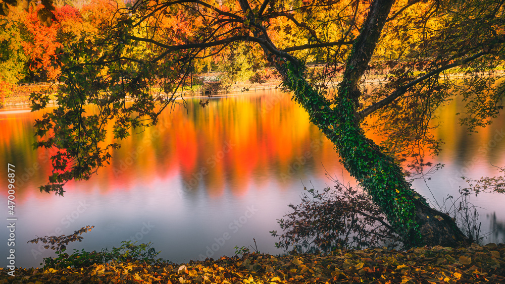 river autumn reflections colors