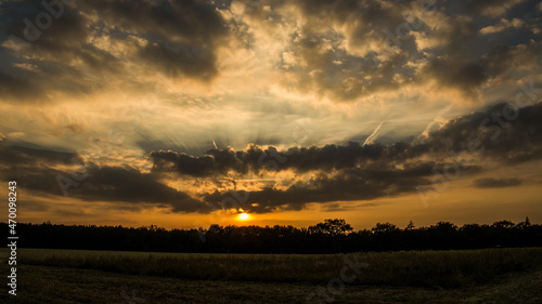 dramatic sunset at the edge of a forest in front of a field