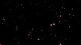 pink flying particles on a black background. dark abstract background with purple glowing particles 8k